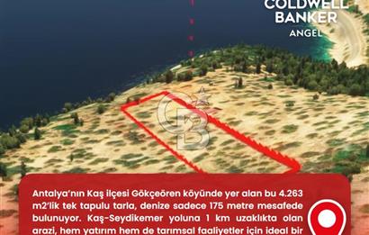 KAŞ GÖKÇEÖREN'DE MUHTEŞEM DENİZ VE DOĞA MANZARALI 4.263 m² TARLA