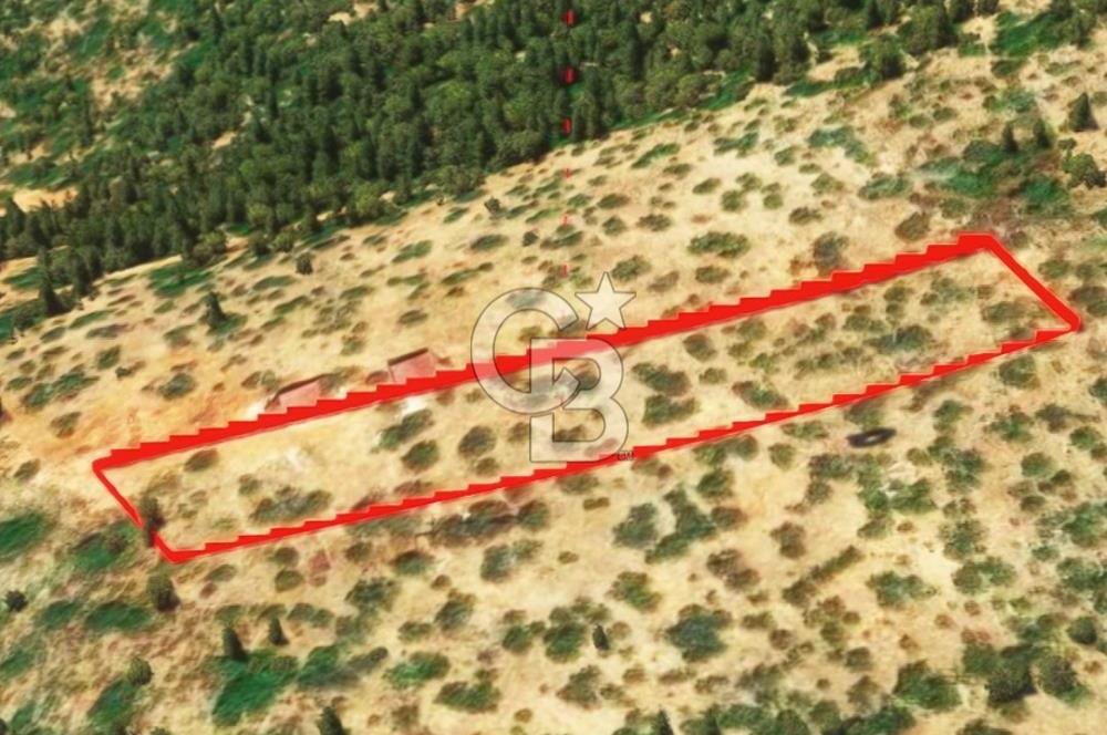 KAŞ GÖKÇEÖREN'DE MUHTEŞEM DENİZ VE DOĞA MANZARALI 4.263 m² TARLA