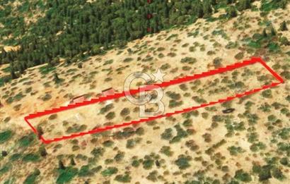 KAŞ GÖKÇEÖREN'DE MUHTEŞEM DENİZ VE DOĞA MANZARALI 4.263 m² TARLA