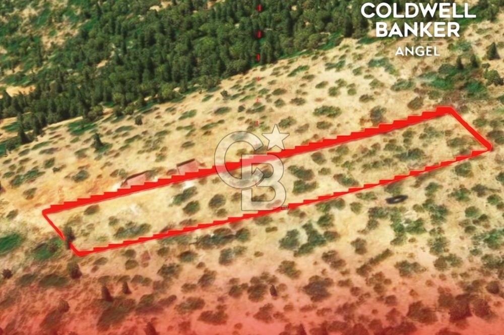 KAŞ GÖKÇEÖREN'DE MUHTEŞEM DENİZ VE DOĞA MANZARALI 4.263 m² TARLA