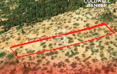KAŞ GÖKÇEÖREN'DE MUHTEŞEM DENİZ VE DOĞA MANZARALI 4.263 m² TARLA