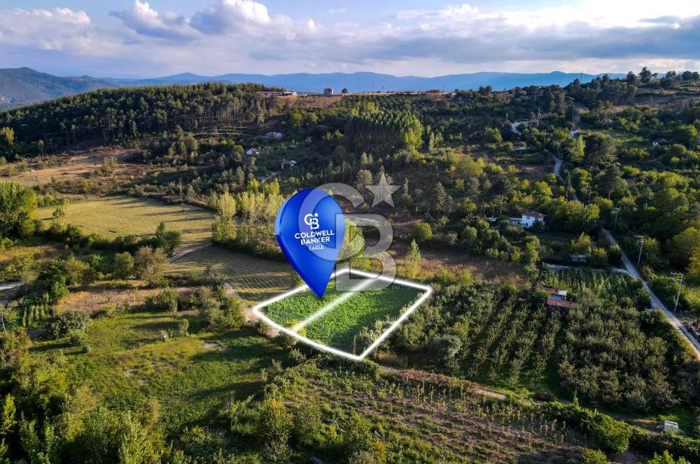 CB EAGLE'DAN DURSUNBEY ÇUKURHARMAN MEVKİİ 1.819 m² SATILIK TARLA