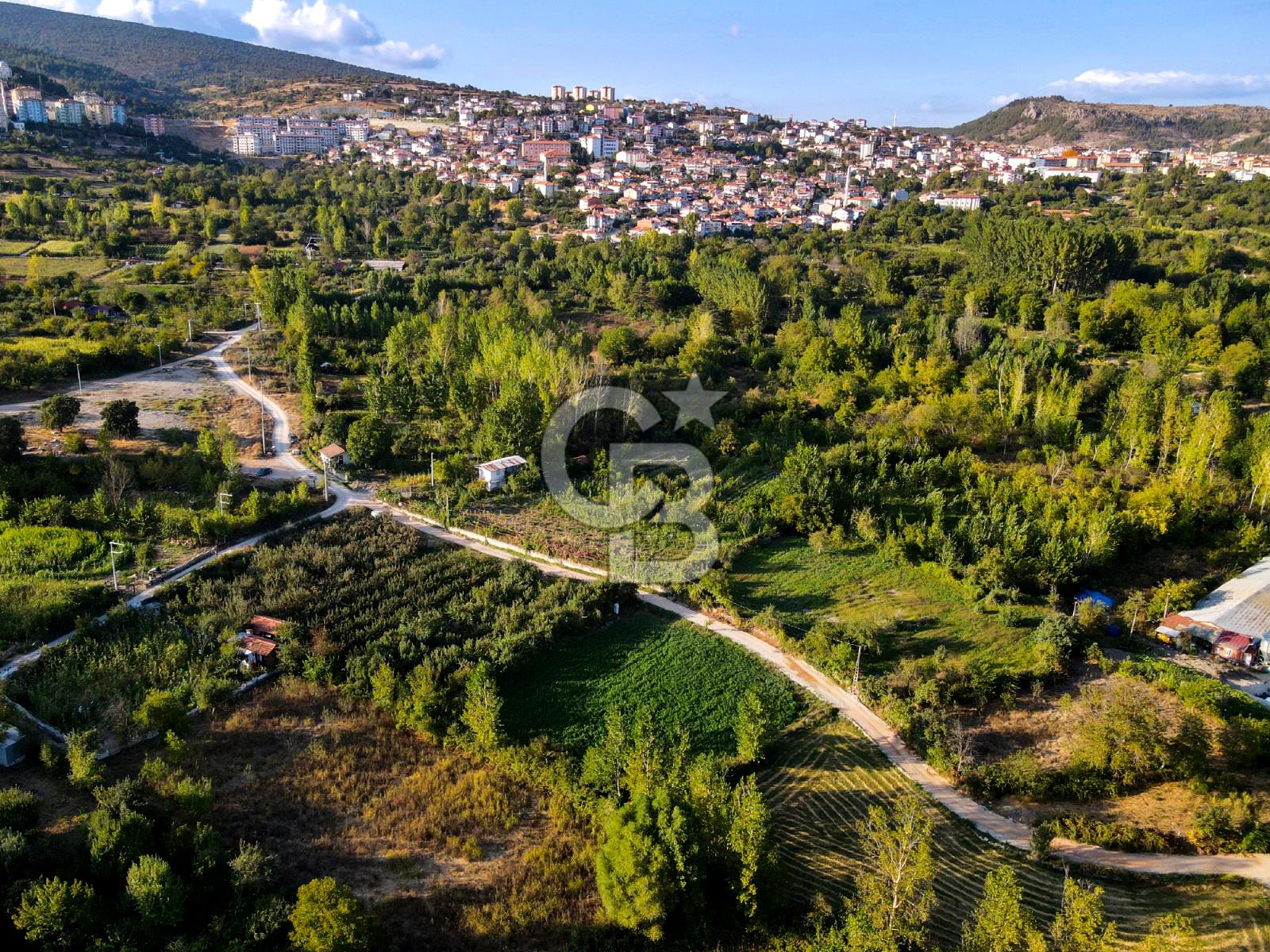 CB EAGLE'DAN DURSUNBEY ÇUKURHARMAN MEVKİİ 1.819 m² SATILIK TARLA