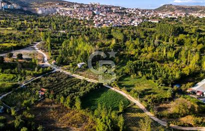 CB EAGLE'DAN DURSUNBEY ÇUKURHARMAN MEVKİİ 1.819 m² SATILIK TARLA