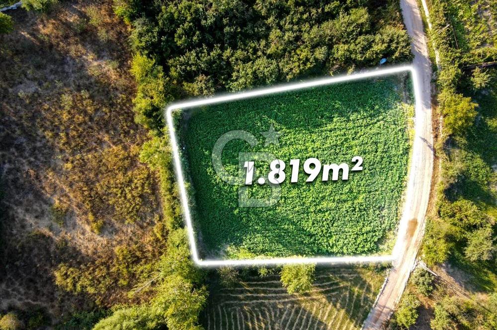 CB EAGLE'DAN DURSUNBEY ÇUKURHARMAN MEVKİİ 1.819 m² SATILIK TARLA