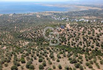 BERGAMA ZEYTİNDAĞDA DENİZ MANZARALI 15/30 İMARLI ARSA - 12 - 374666