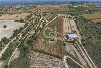 Çeşme Musalla'da Denize Yakın Tarla - 1 - 374697