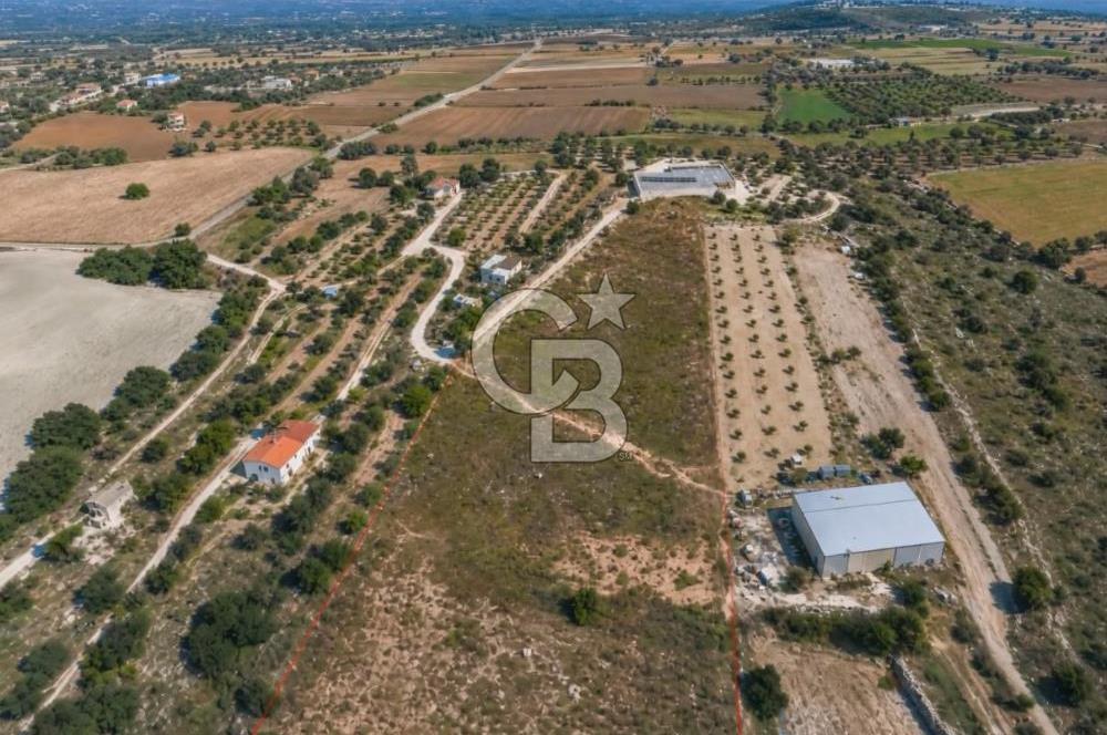 Çeşme Musalla'da Denize Yakın Tarla