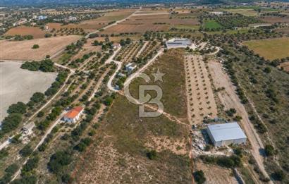 Çeşme Musalla'da Denize Yakın Tarla