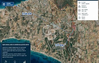 Çeşme Musalla'da Denize Yakın Tarla