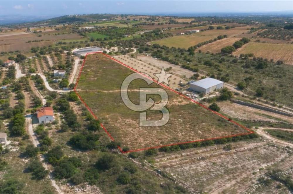 Çeşme Musalla'da Denize Yakın Tarla
