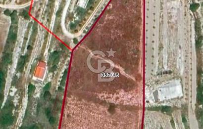 Çeşme Musalla'da Denize Yakın Tarla
