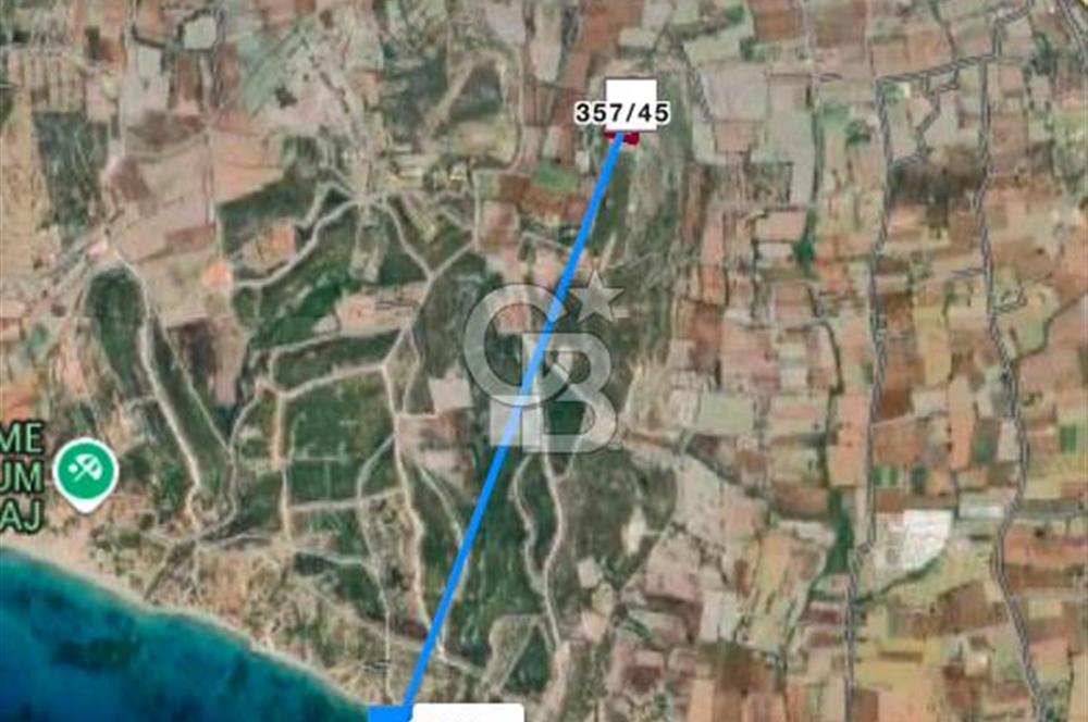 Çeşme Musalla'da Denize Yakın Tarla