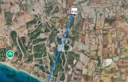 Çeşme Musalla'da Denize Yakın Tarla