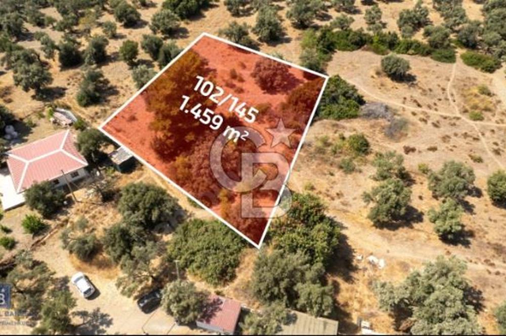 Datça Hayatbükü'nde Yatırıma ve Turizme Uygun Satılık Tarla