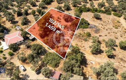 Datça Hayatbükü'nde Yatırıma ve Turizme Uygun Satılık Tarla