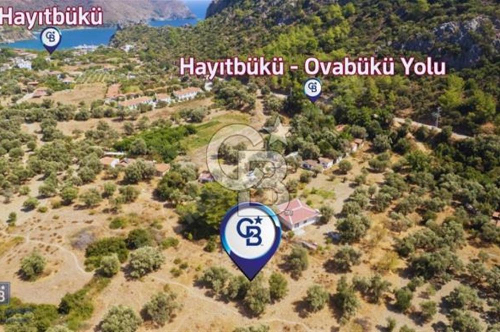 Datça Hayatbükü'nde Yatırıma ve Turizme Uygun Satılık Tarla
