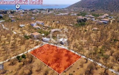 Datça Palamutbükü'nde Yola Sıfır Satılık 1.643m2 Tarla