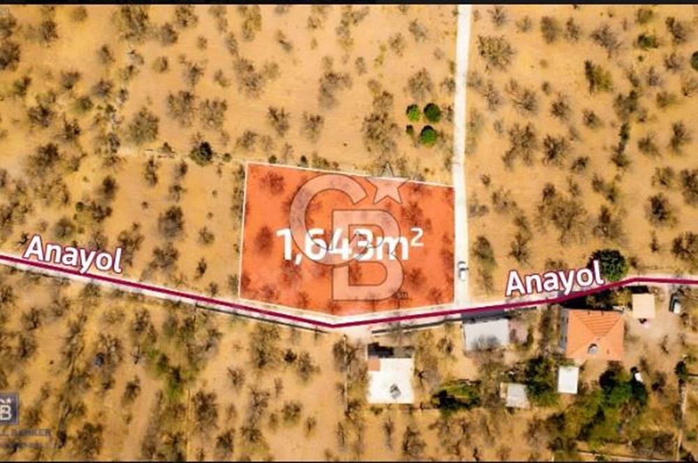 Datça Palamutbükü'nde Yola Sıfır Satılık 1.643m2 Tarla