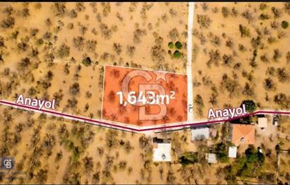 Datça Palamutbükü'nde Yola Sıfır Satılık 1.643m2 Tarla