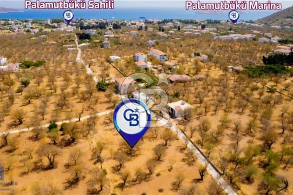 Datça Palamutbükü'nde Yola Sıfır Satılık 1.643m2 Tarla