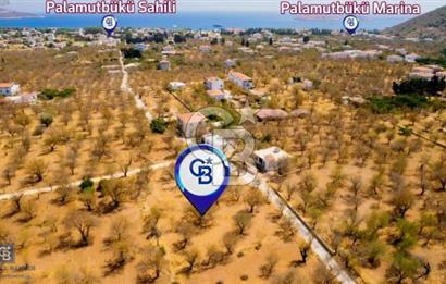 Datça Palamutbükü'nde Yola Sıfır Satılık 1.643m2 Tarla