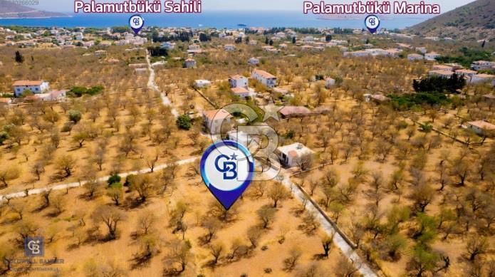 Datça Palamutbükü'nde Yola Sıfır Satılık 1.643m2 Tarla