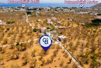 Datça Palamutbükü'nde Yola Sıfır Satılık 1.643m2 Tarla - 1 - 374746