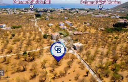 Datça Palamutbükü'nde Yola Sıfır Satılık 1.643m2 Tarla