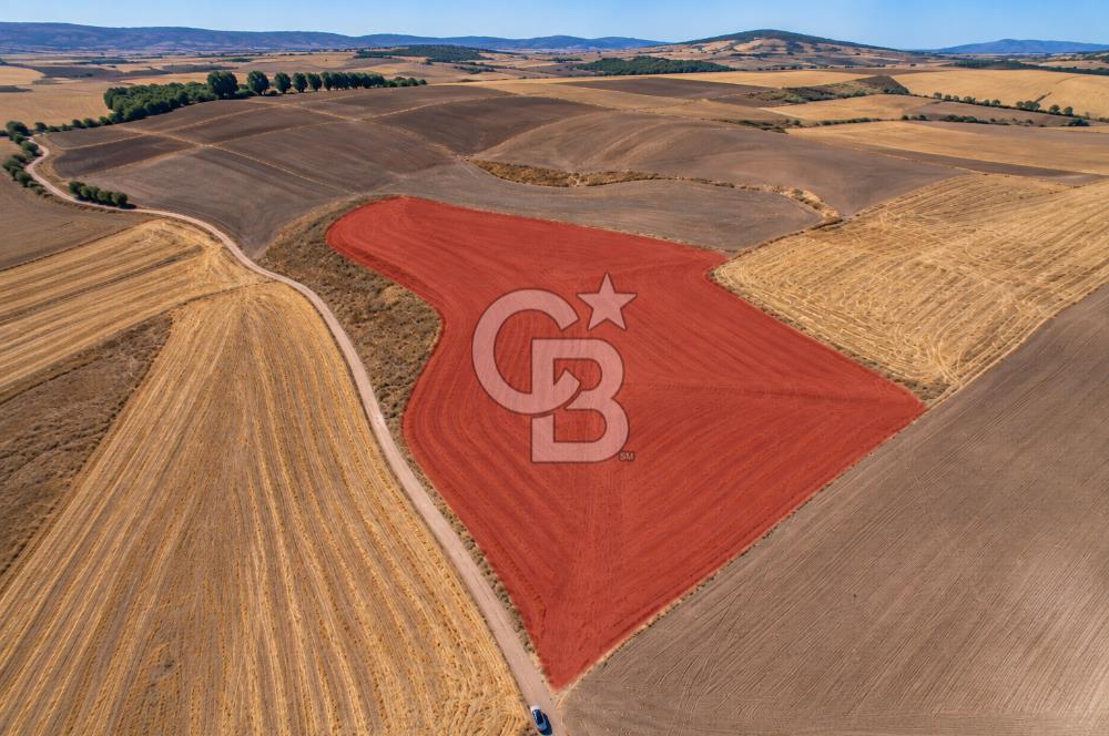 Sivrihisar Karakaya'da 6641/164 Tek Tapu Yatırımlık Tarla 