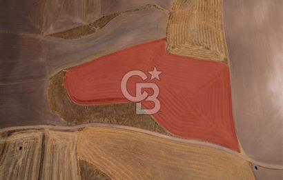 Sivrihisar Karakaya'da 6641/164 Tek Tapu Yatırımlık Tarla 