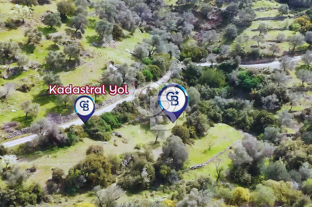 Datça Mesudiye'de Satılık Yatırım Değeri Yüksek Tarla