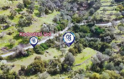 Datça Mesudiye'de Satılık Yatırım Değeri Yüksek Tarla