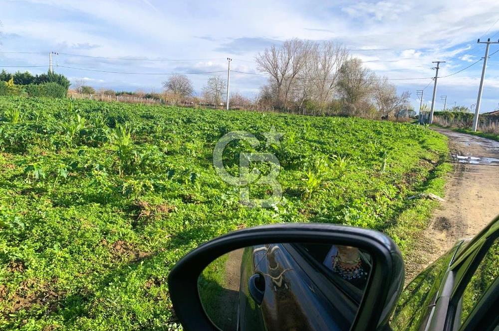 edirne kırkağaç yol kenarı 4.700 m2 tarla