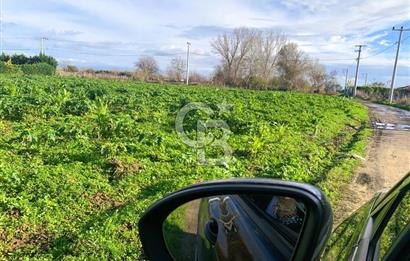 edirne kırkağaç yol kenarı 4.700 m2 tarla