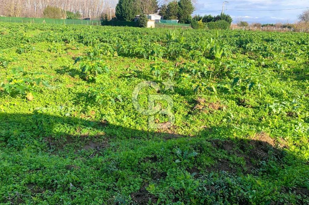 edirne kırkağaç yol kenarı 4.700 m2 tarla