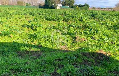 edirne kırkağaç yol kenarı 4.700 m2 tarla