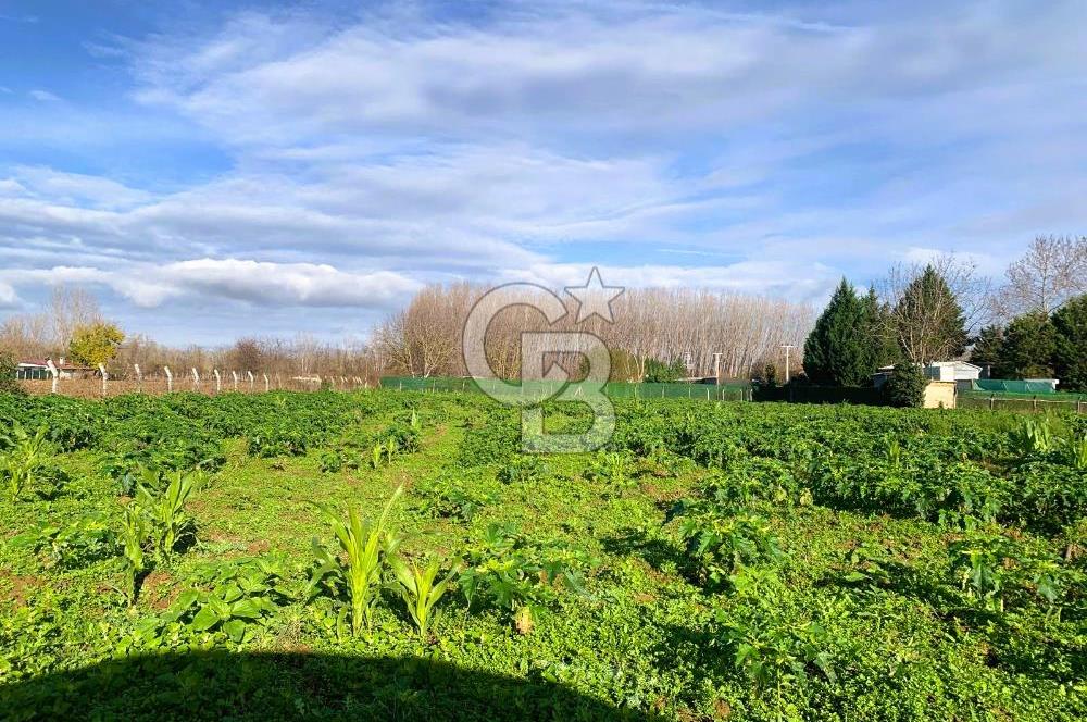 edirne kırkağaç yol kenarı 4.700 m2 tarla