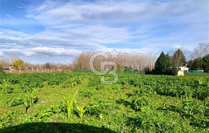 edirne kırkağaç yol kenarı 4.700 m2 tarla