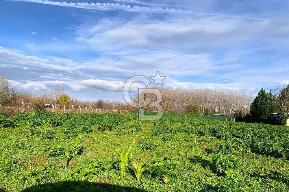 edirne kırkağaç yol kenarı 4.700 m2 tarla