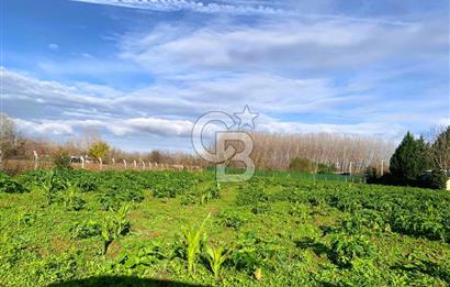 edirne kırkağaç yol kenarı 4.700 m2 tarla