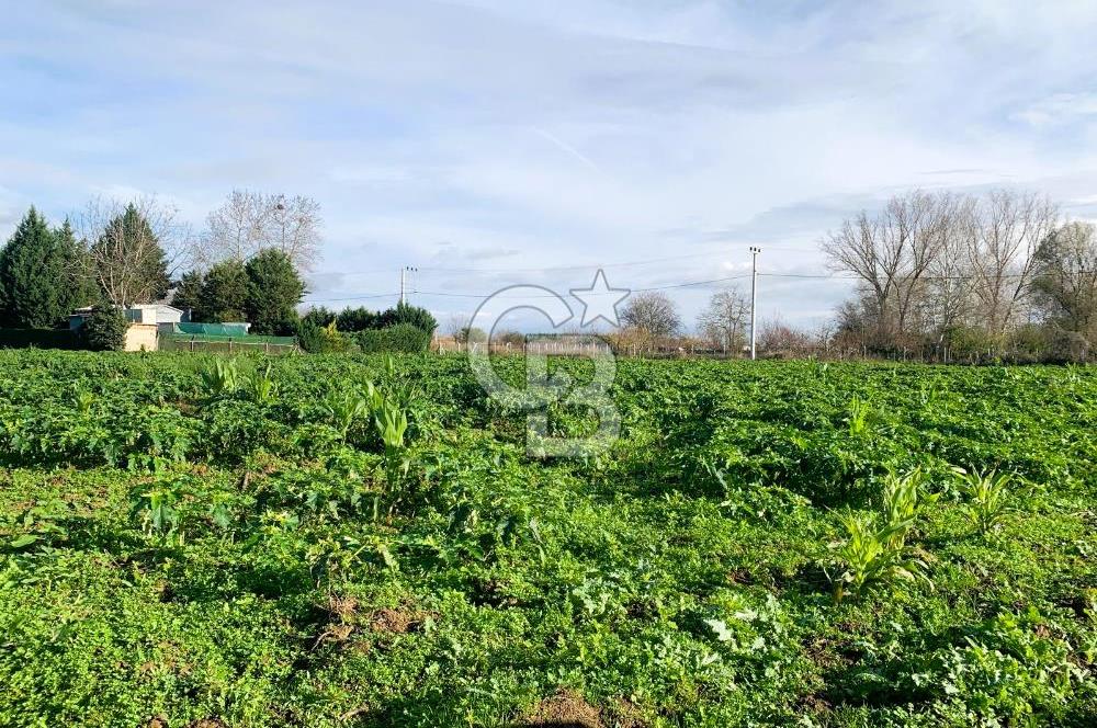 edirne kırkağaç yol kenarı 4.700 m2 tarla