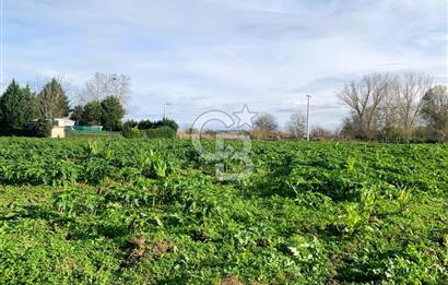 edirne kırkağaç yol kenarı 4.700 m2 tarla