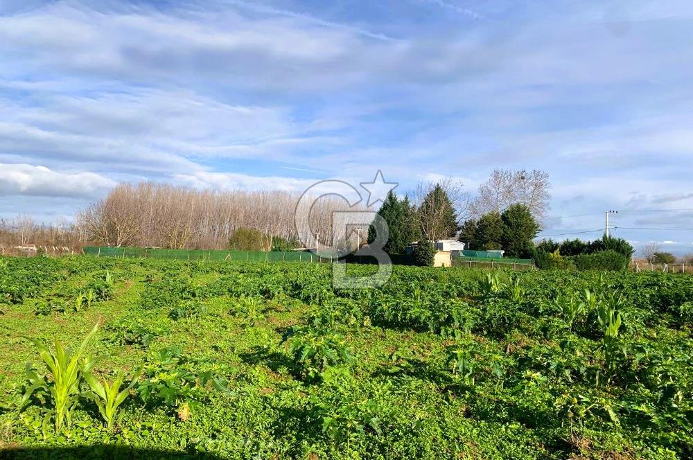 edirne kırkağaç yol kenarı 4.700 m2 tarla