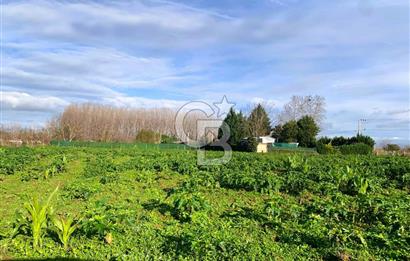 edirne kırkağaç yol kenarı 4.700 m2 tarla