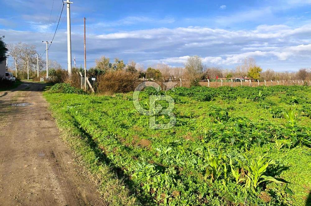 edirne kırkağaç yol kenarı 4.700 m2 tarla