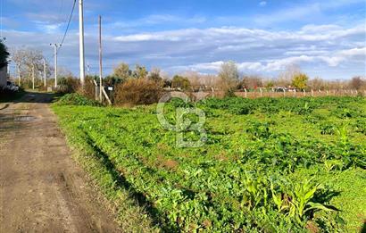 edirne kırkağaç yol kenarı 4.700 m2 tarla
