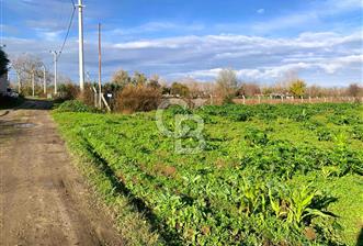 edirne kırkağaç yol kenarı 4.700 m2 tarla - 1 - 374723