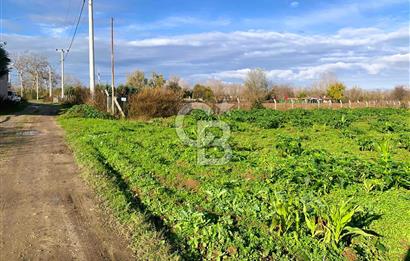 edirne kırkağaç yol kenarı 4.700 m2 tarla