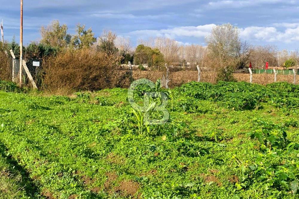 edirne kırkağaç yol kenarı 4.700 m2 tarla